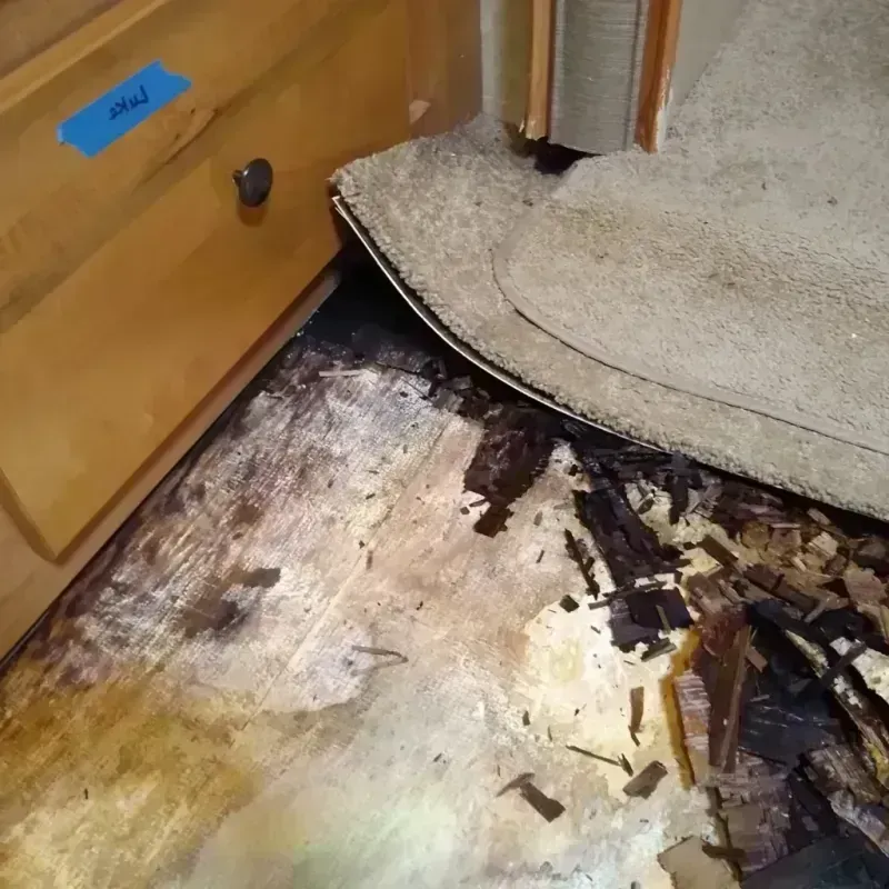 Wood Floor Water Damage in Rock Island, FL